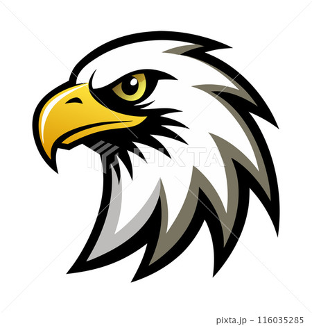 The eagle has a fierce look on its face 116035285