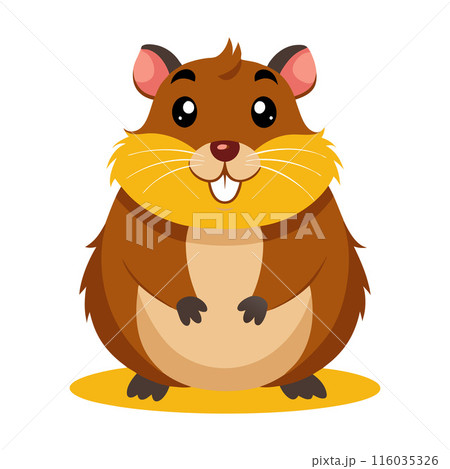 Cute cartoon hamster illustration on white background, children's book, educational card designs 116035326