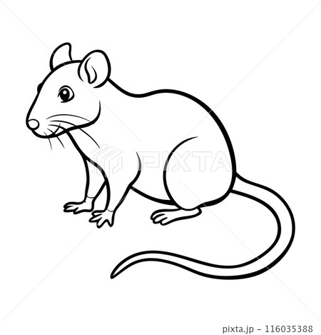 A mouse is sitting on the ground 116035388