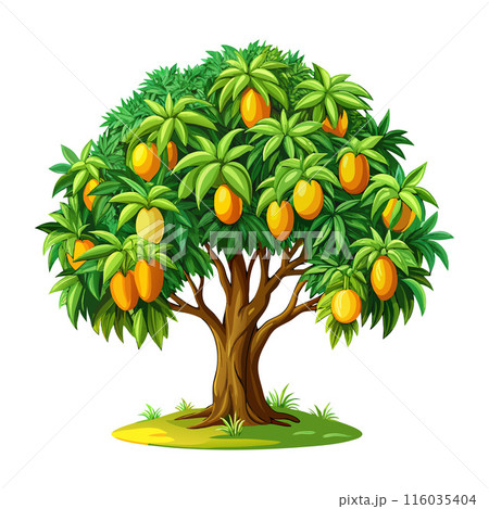 Colorful illustration of a lush mango tree with ripe fruits and vibrant green leaves Colorful illustration of a lush mango tree with ripe fruits and vibrant green leaves 116035404