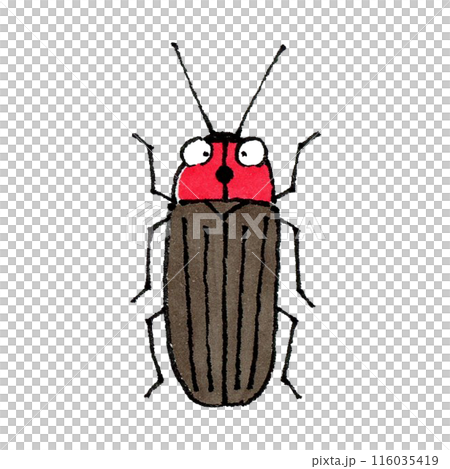 螢火蟲 螢火蟲 116035419