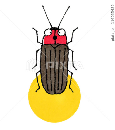 光るホタル 116035429