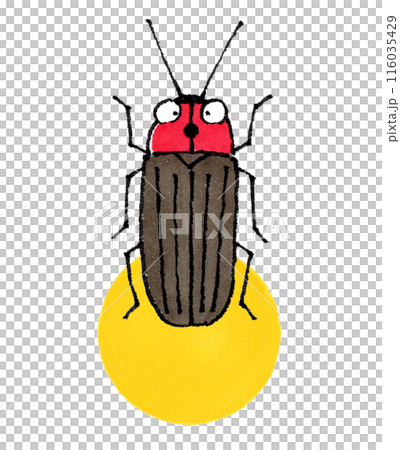 光るホタル 116035429