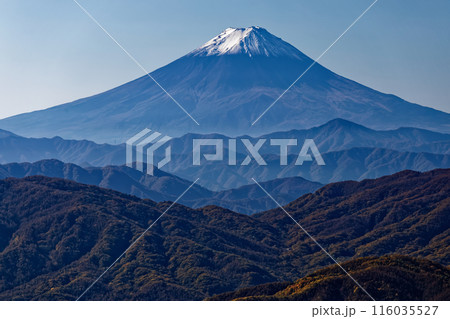 奥秩父・笠取山から見る富士山 116035527