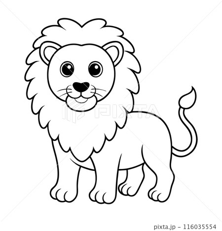 A lion is standing in the foreground of a white background 116035554