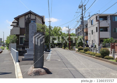 西明寺 参道(神奈川県川崎市中原区小杉御殿町1丁目) 西明寺 参道(神奈川県川崎市中原区小杉御殿町1丁目) 116035557