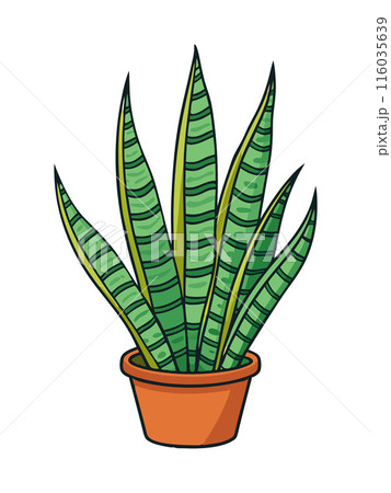 A green plant in a pot with a white background 116035639