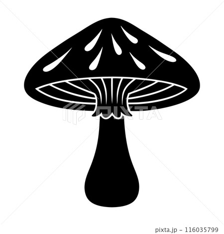 A mushroom is shown in black and white 116035799
