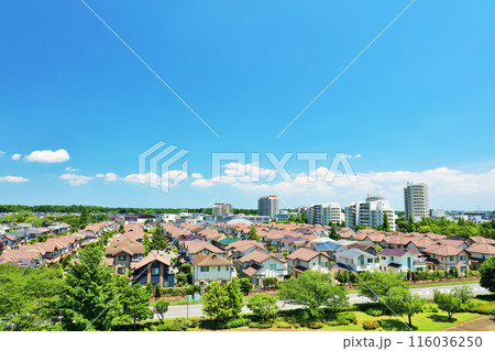 青空と街の風景 116036250