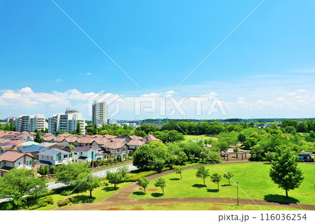 青空と街の風景 青空と街の風景 116036254