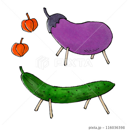 お盆の精霊馬(キュウリ、ナス、ほおずき) 116036398