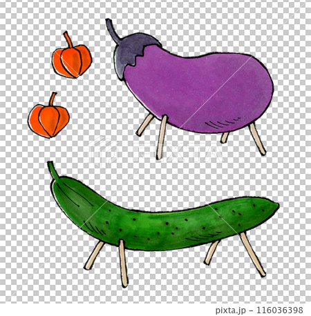 お盆の精霊馬(キュウリ、ナス、ほおずき) 116036398