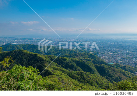 立花山の山頂から望む眺め 116036498
