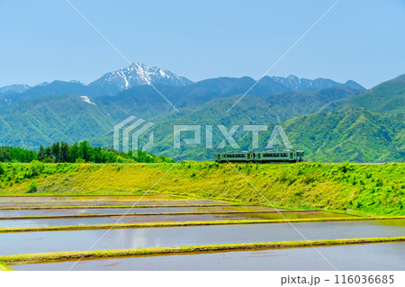 JR小海線 キハ110系 JR小海線 キハ110系 116036685