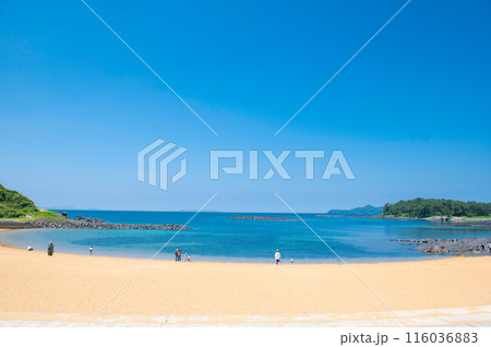 晴れの日の波戸岬海水浴場 晴れの日の波戸岬海水浴場 116036883
