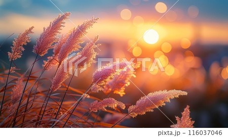 Beautiful nature view with shining light representing peace in life 116037046