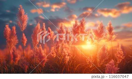 Beautiful nature view with shining light representing peace in life and gift 116037047