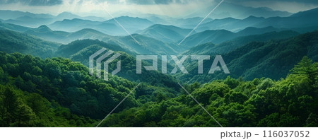 Wonderful mountain view representing the gift of nature 116037052
