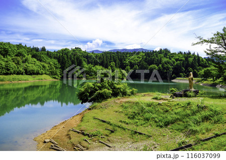池のある初夏の風景 116037099