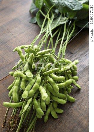 枝付き枝豆 116037139