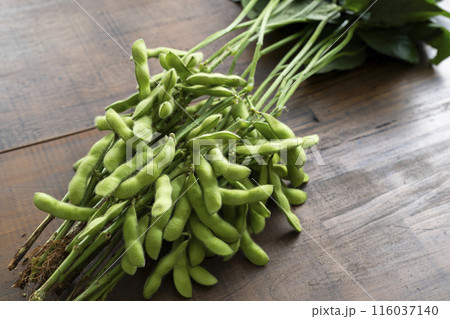 枝付き枝豆 116037140