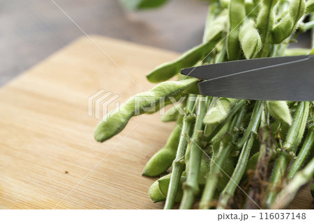 枝付き枝豆 116037148