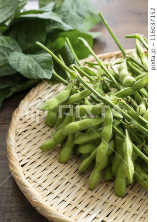 枝付き枝豆 116037152