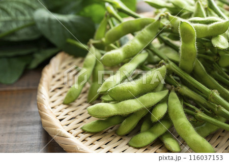 枝付き枝豆 116037153