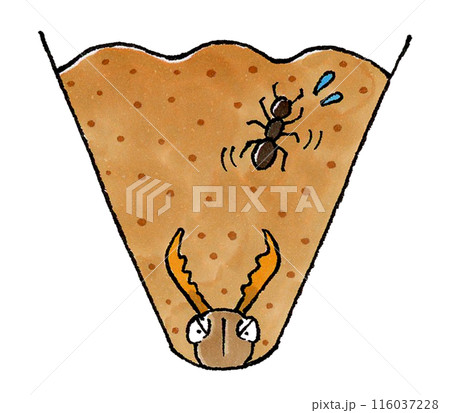 アリジゴクの巣に落ちるアリ 116037228