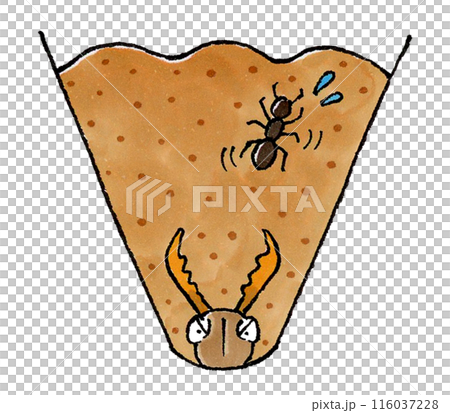 アリジゴクの巣に落ちるアリ 116037228