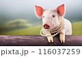 AI生成｜豚に真珠イメージ｜無駄、もったいないイメージ 116037259