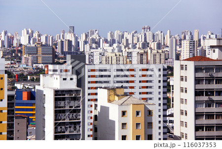 サンパウロの高層ビル群　ブラジル 116037353