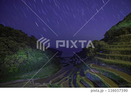 浜野浦の棚田と星空 116037390