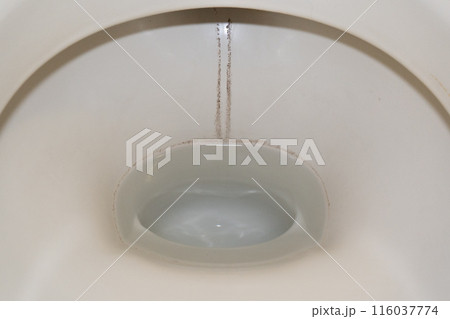 洋式トイレ 便器の黒ずみ 軽微 116037774