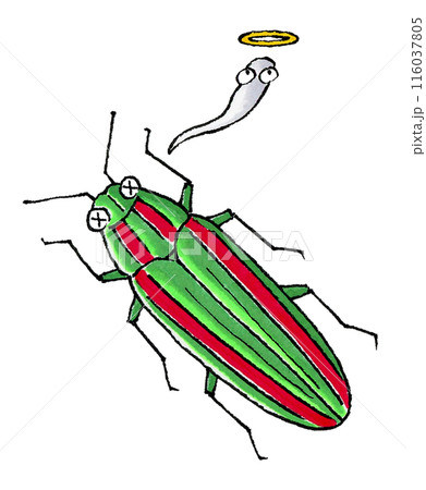 死んだタマムシ 116037805