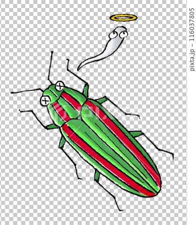 死んだタマムシ 116037805