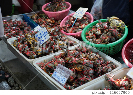 メークロン鉄道市場 116037900