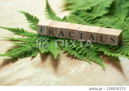 フラクタクル・FRACTALS フラクタクル・FRACTALS 116038153