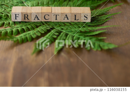 フラクタクル・FRACTALS 116038155