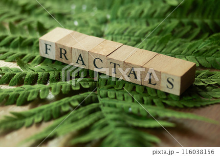 フラクタクル・FRACTALS 116038156