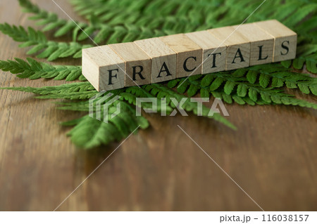 フラクタクル・FRACTALS 116038157