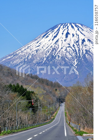 喜茂別町相川ビューポイントパーキングから望む羊蹄山 116038757