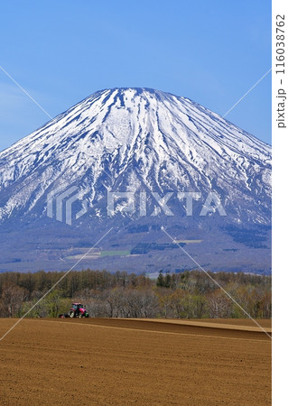 羊蹄山　(北海道) 116038762