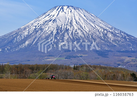 羊蹄山 (北海道) 羊蹄山 (北海道) 116038763