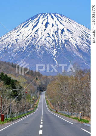 喜茂別町相川ビューポイントパーキングから望む羊蹄山 116038770