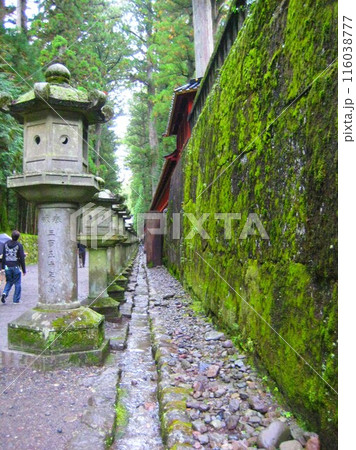 日光東照宮の参道と苔 116038777