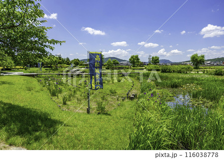 備中高松城跡 高松城址公園 岡山県岡山市 備中高松城跡 高松城址公園 岡山県岡山市 116038778