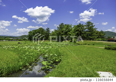 備中高松城跡　高松城址公園　本丸跡　岡山県岡山市 116038844