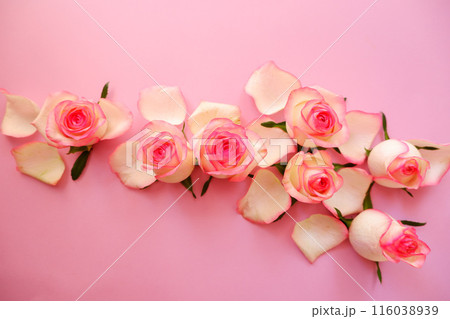 ピンクの薔薇の花びら、ピンク、ピンク背景 116038939