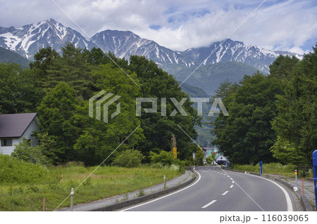梅雨の雨間の白馬三山　長野県白馬村 116039065